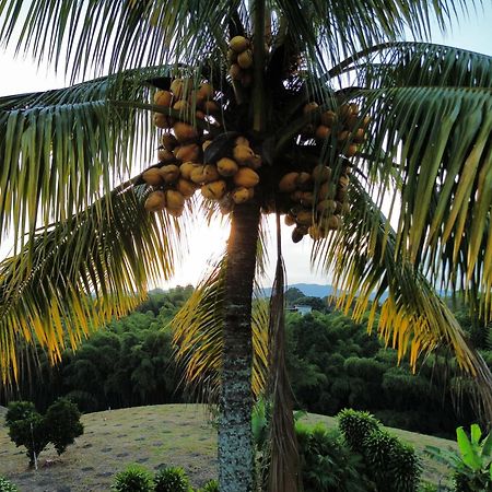 Finca Hotel Los Cocos Montenegro Ngoại thất bức ảnh