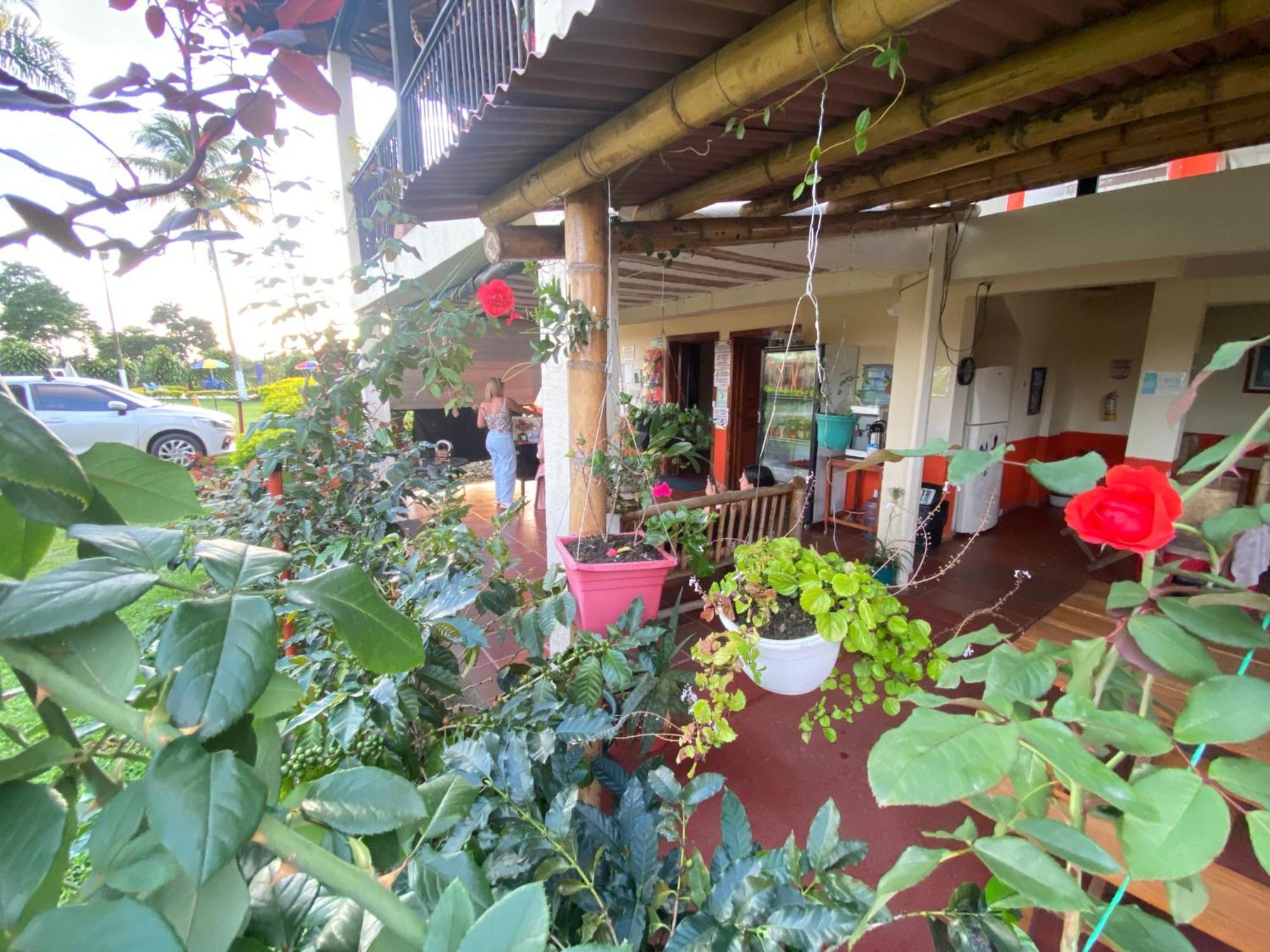 Finca Hotel Los Cocos Montenegro Ngoại thất bức ảnh